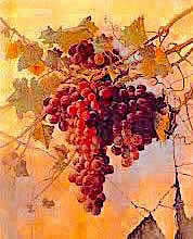 Edwin Deakin, Grapes against a Mission Wall, 1883